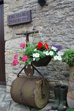 Flowers in Yard